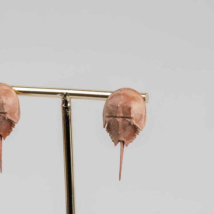 Horseshoe Crab Earrings