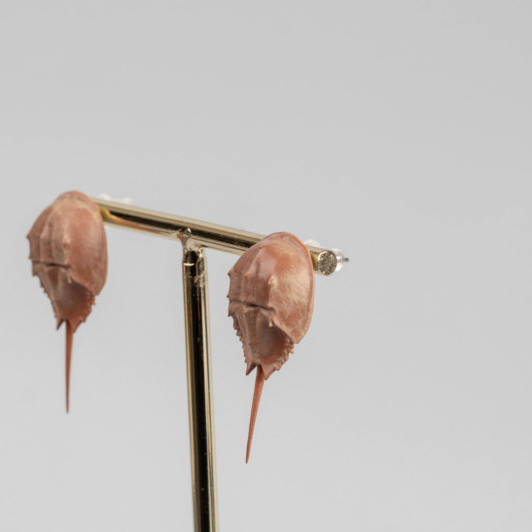 Horseshoe Crab Earrings