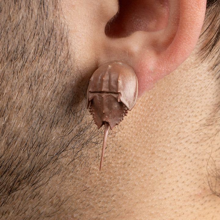 Horseshoe Crab Earrings