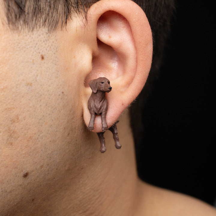 Dachshund Wiener Dog Earrings