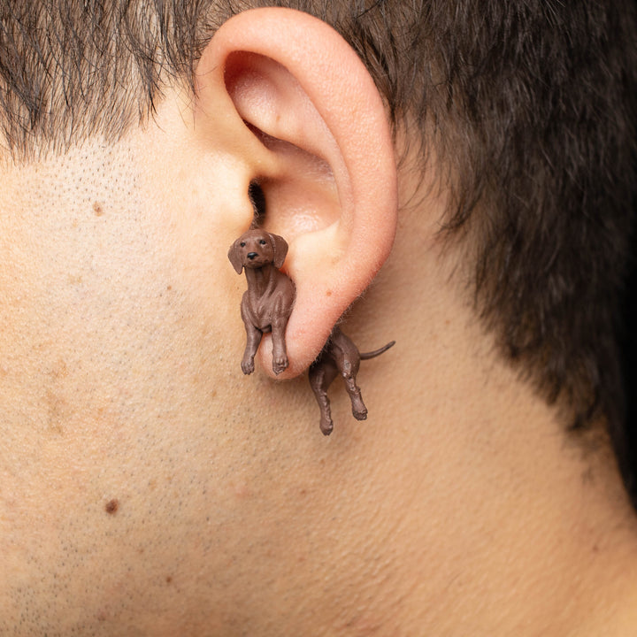 Dachshund Wiener Dog Earrings