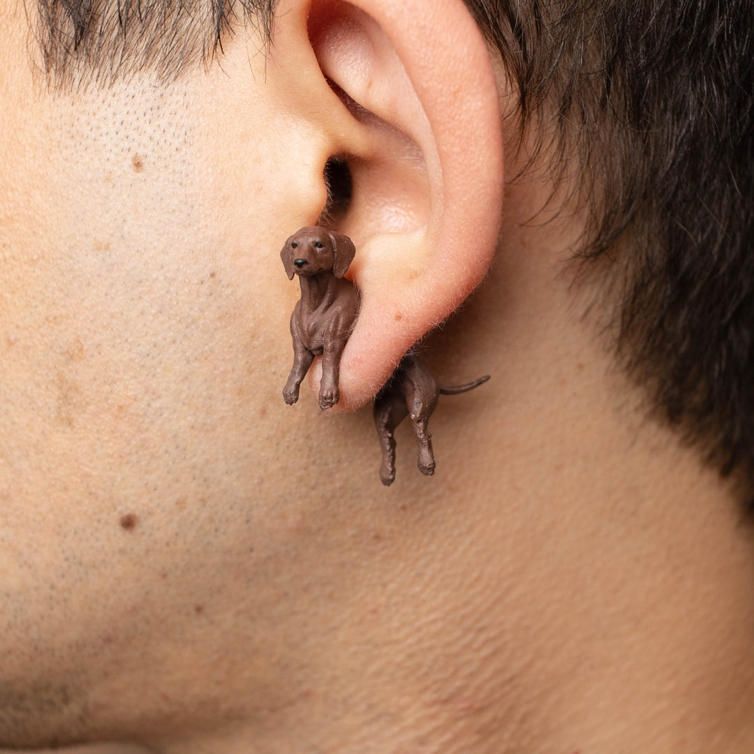 Dachshund Wiener Dog Earrings
