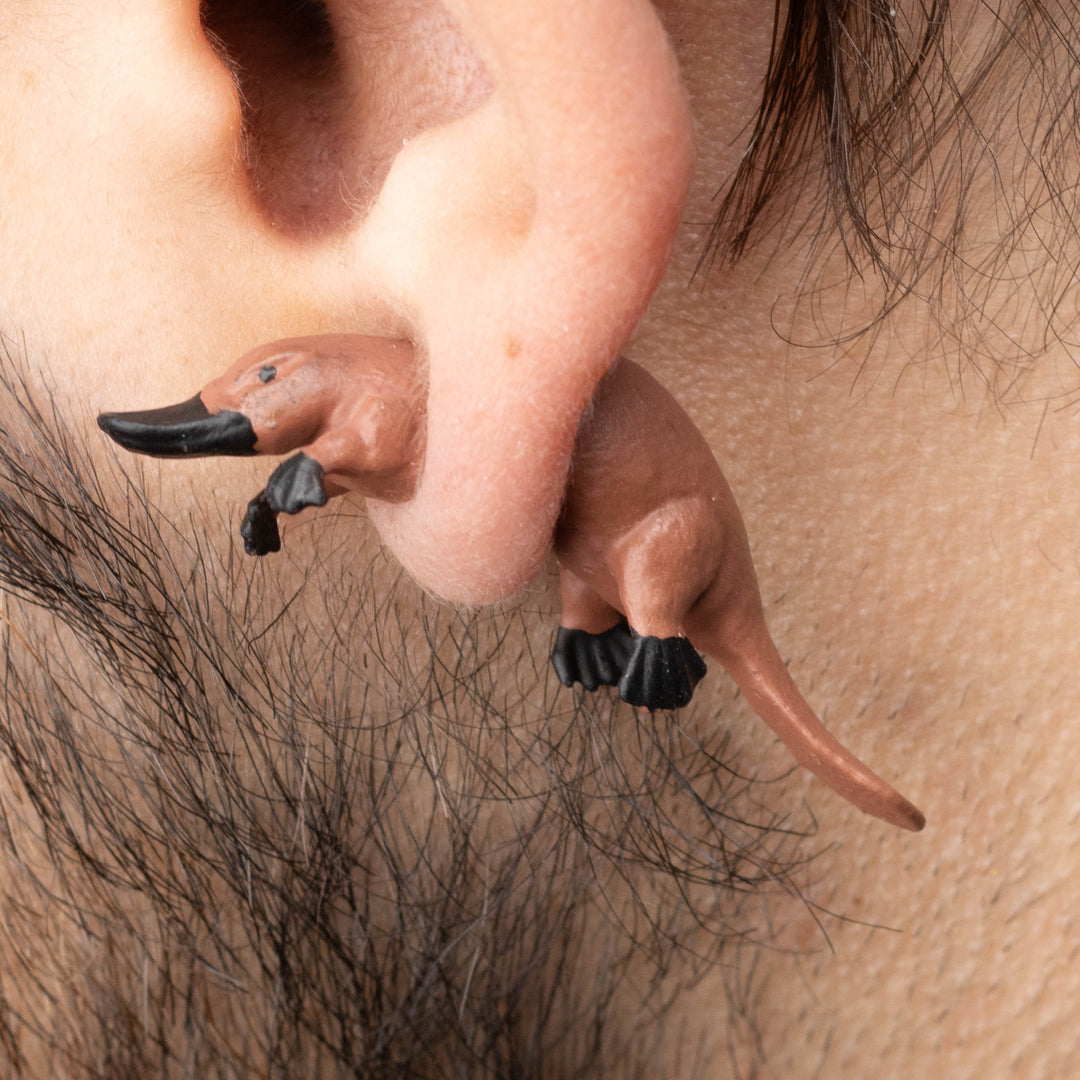 Platypus Earrings