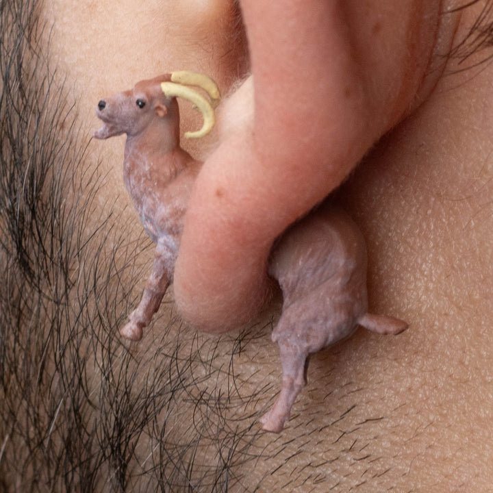 Goat Earrings