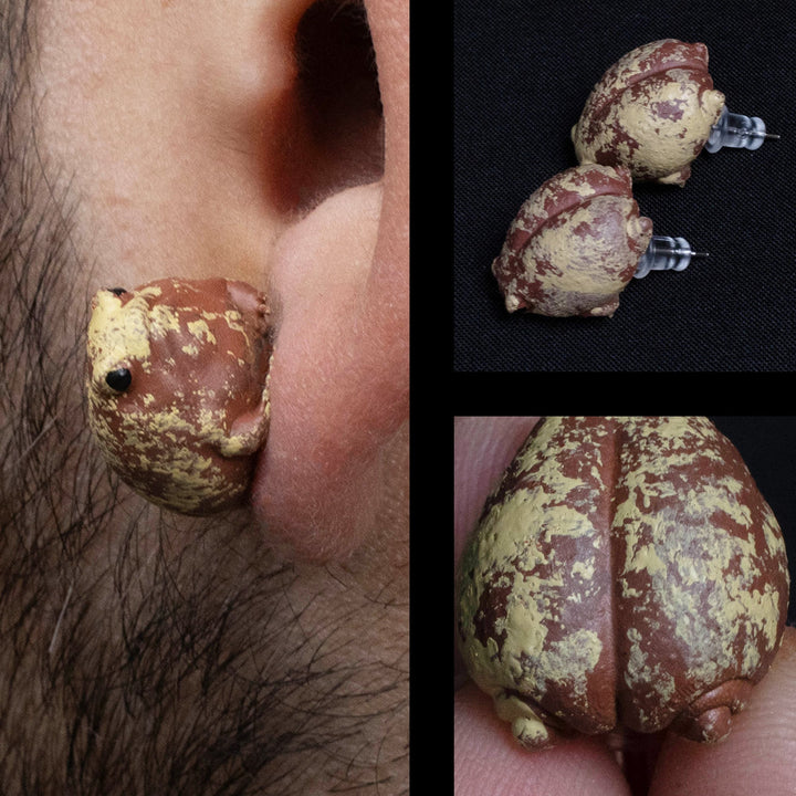 Desert Rain Frog Earrings