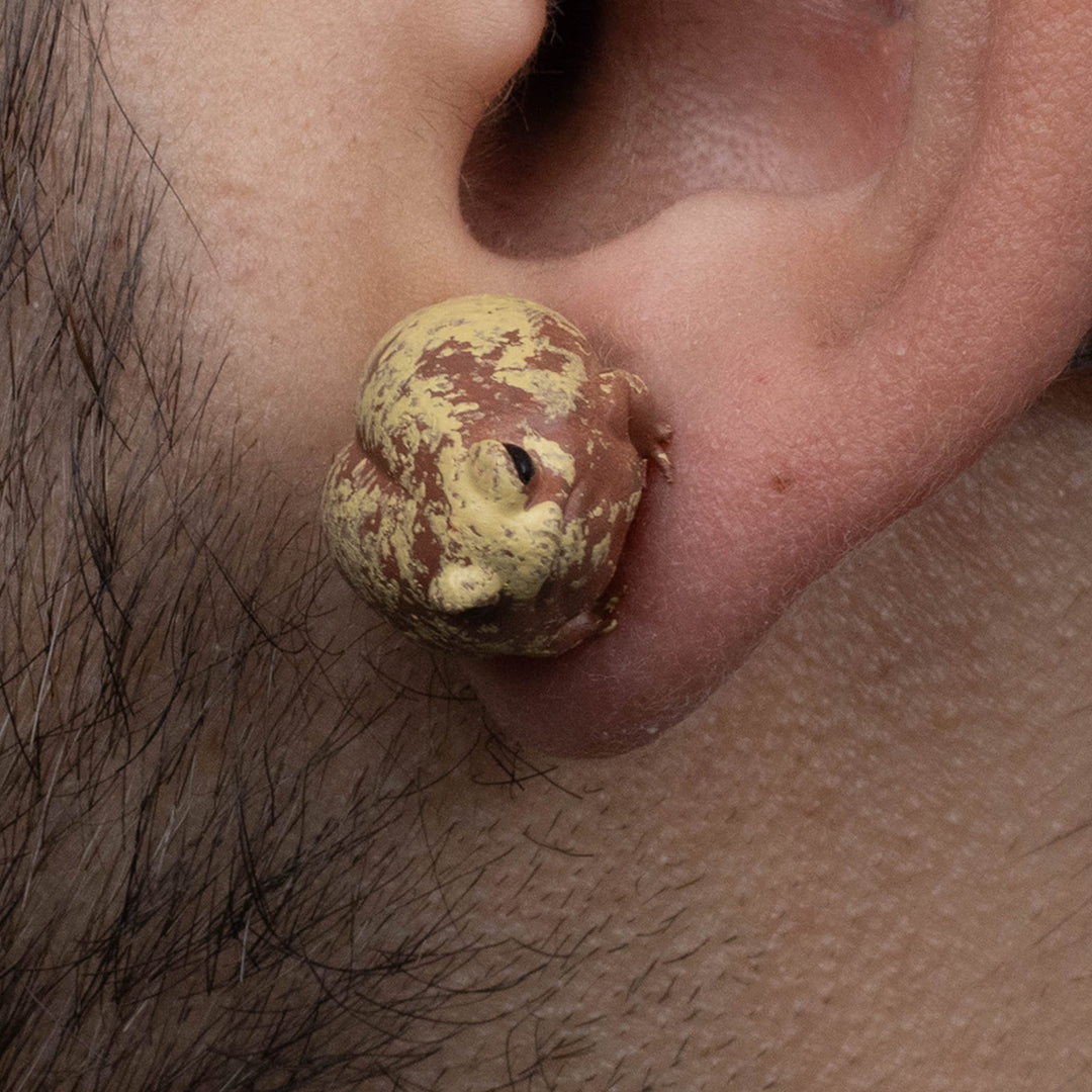 Desert Rain Frog Earrings
