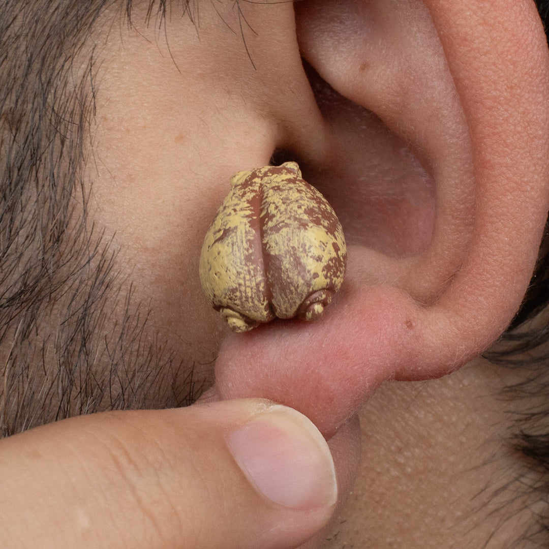 Desert Rain Frog Earrings